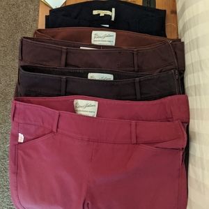 Tailored sportsman breeches Trophy Hunter